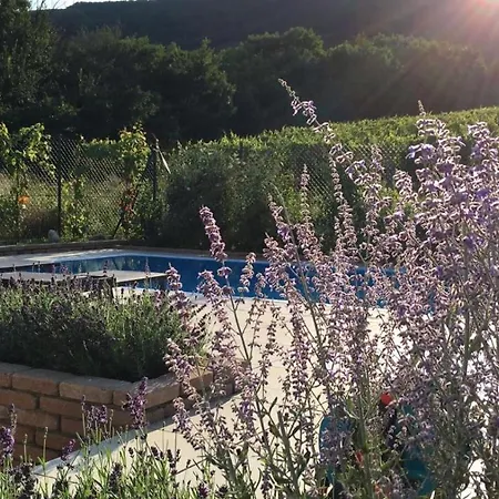 Tatil Evi With Private Swimming Pool Pavlov