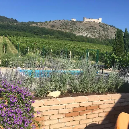 With Private Swimming Pool * 파블로프