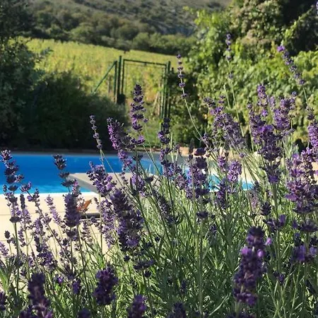 펜션 With Private Swimming Pool 파블로프