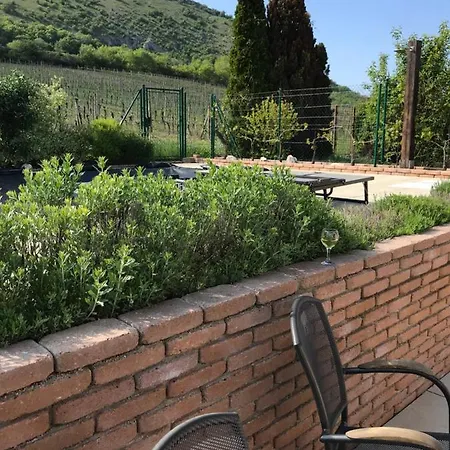 With Private Swimming Pool * Pavlov