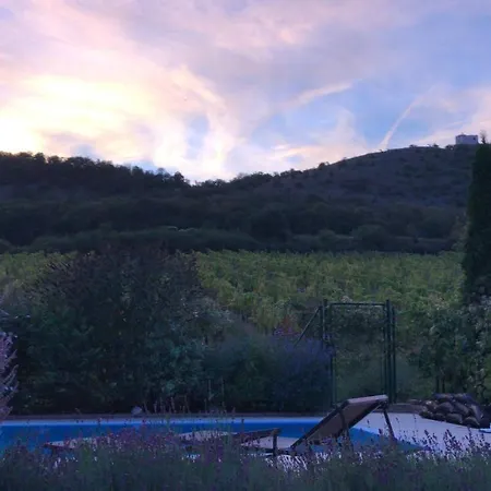 With Private Swimming Pool
