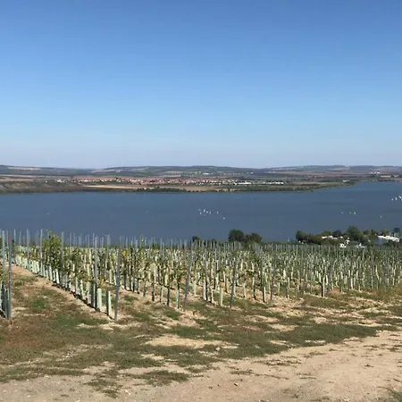 With Private Swimming Pool Tatil Evi Pavlov