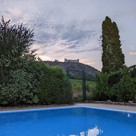 Tatil Evi With Private Swimming Pool Pavlov