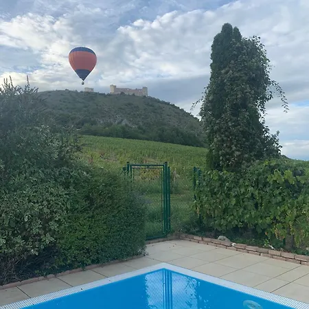 With Private Swimming Pool Pavlov