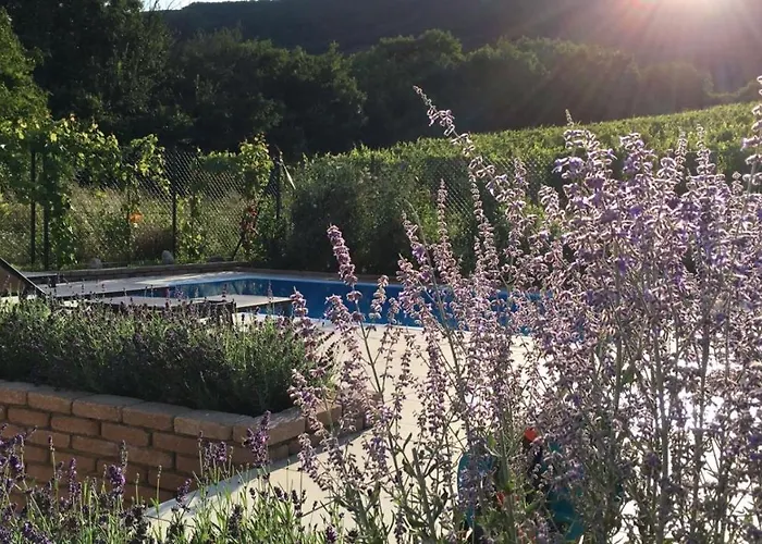 Tatil Evi With Private Swimming Pool Pavlov