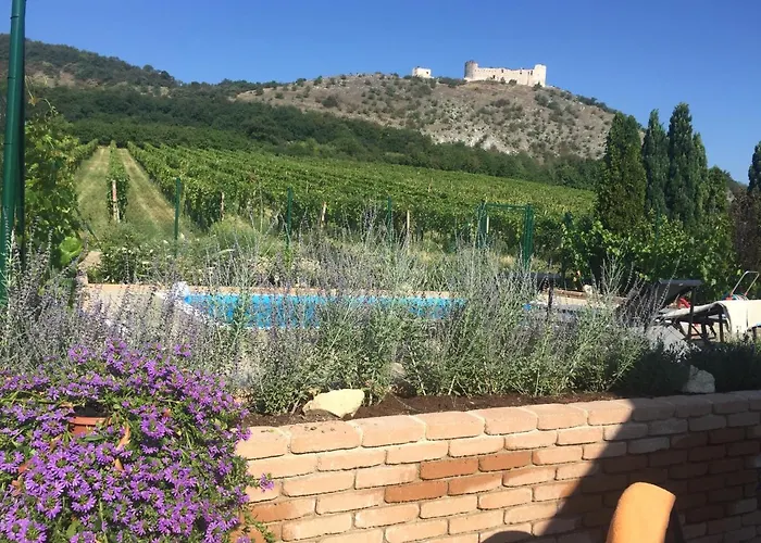 With Private Swimming Pool * Pavlov